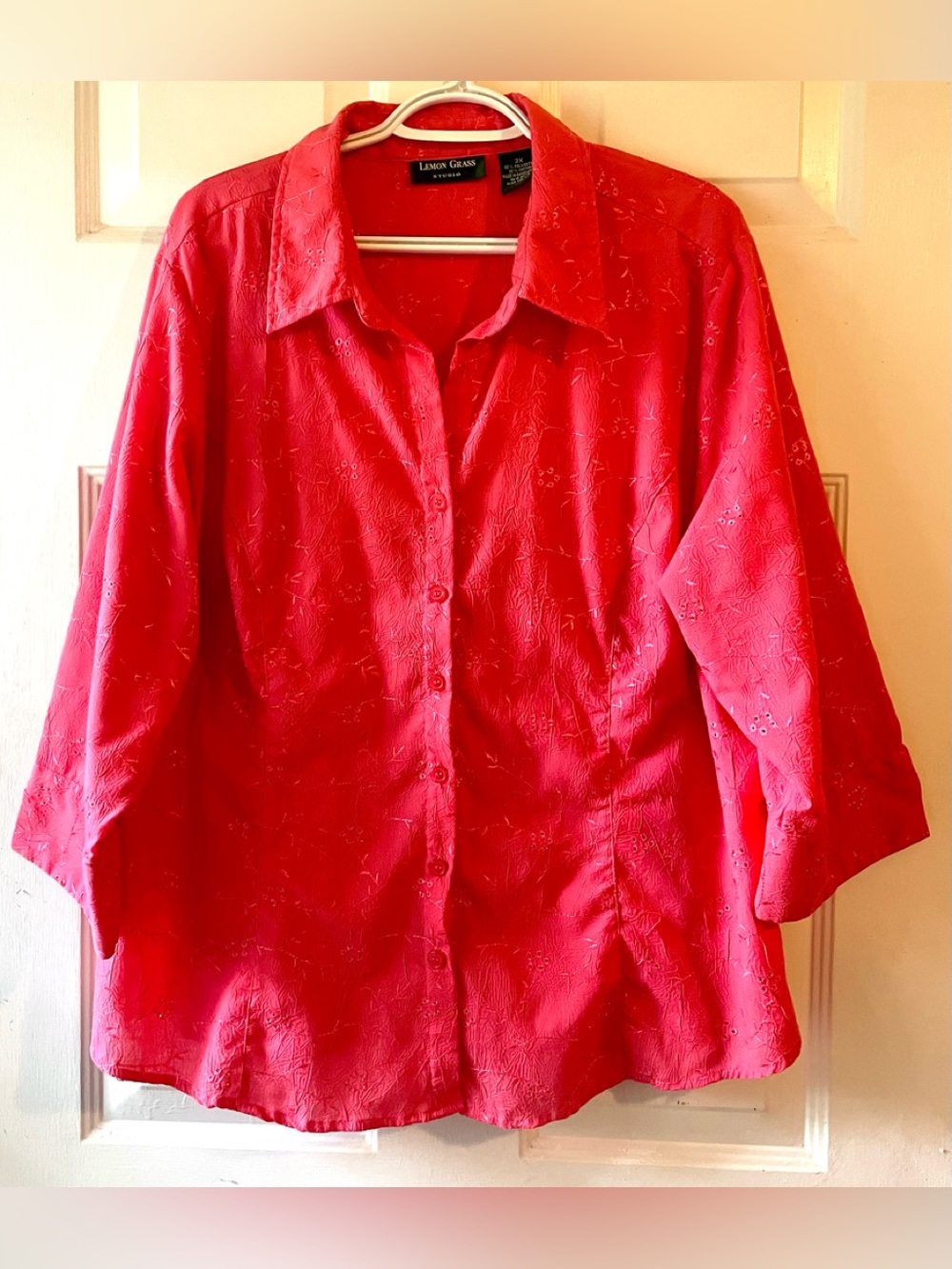 Lemon Grass Deep Coral Pink Floral Eyelet Embroidered Button Up Blouse Size 2X
